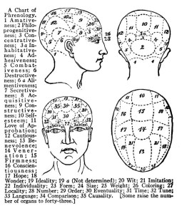 A 19th Century Phrenology Chart
