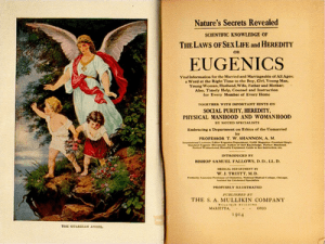 Ideas about a pure race decimated indigenous peoples