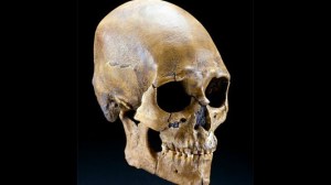 kennewickman-smithsonianinstitution